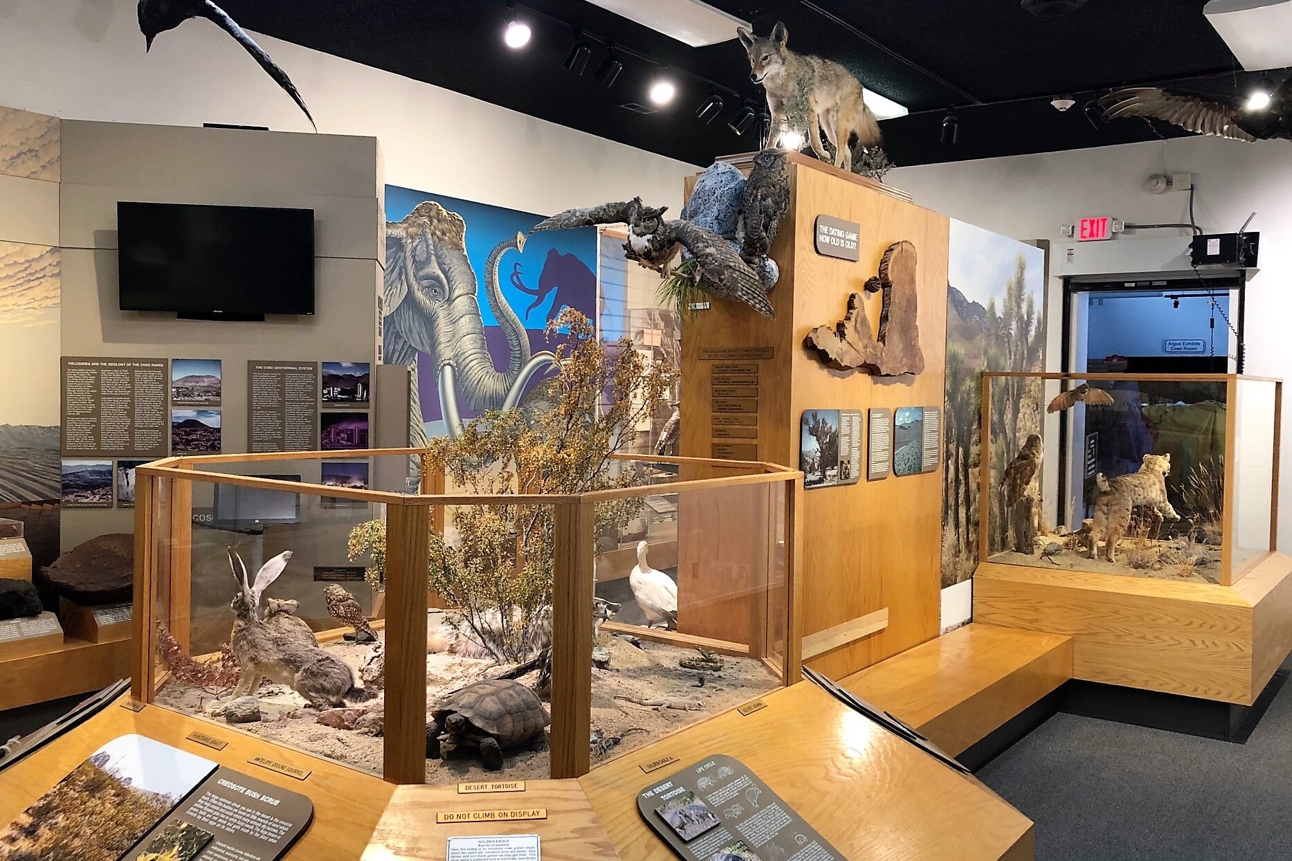 El Paso Gallery | Maturango Museum